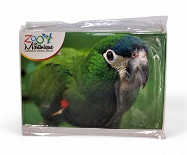 Magnet Image ZDM Amazone
