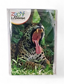 Magnet Image ZDM Jaguar