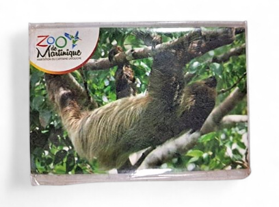 Magnet Image ZDM Paresseux