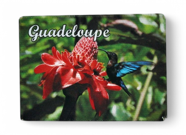 Magnet Canvas Rose