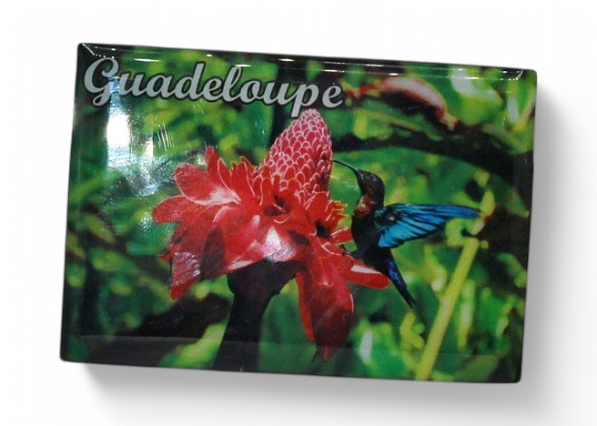 Magnet Epoxy Rectangle Rose+Colibri
