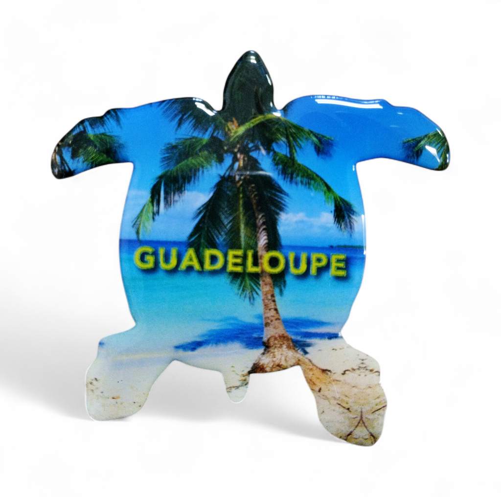 Magnet Epoxy Tortue Et Cocotier