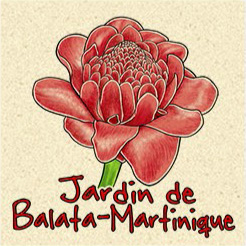 Magnet Sable JDB Rose De Porcelaine
