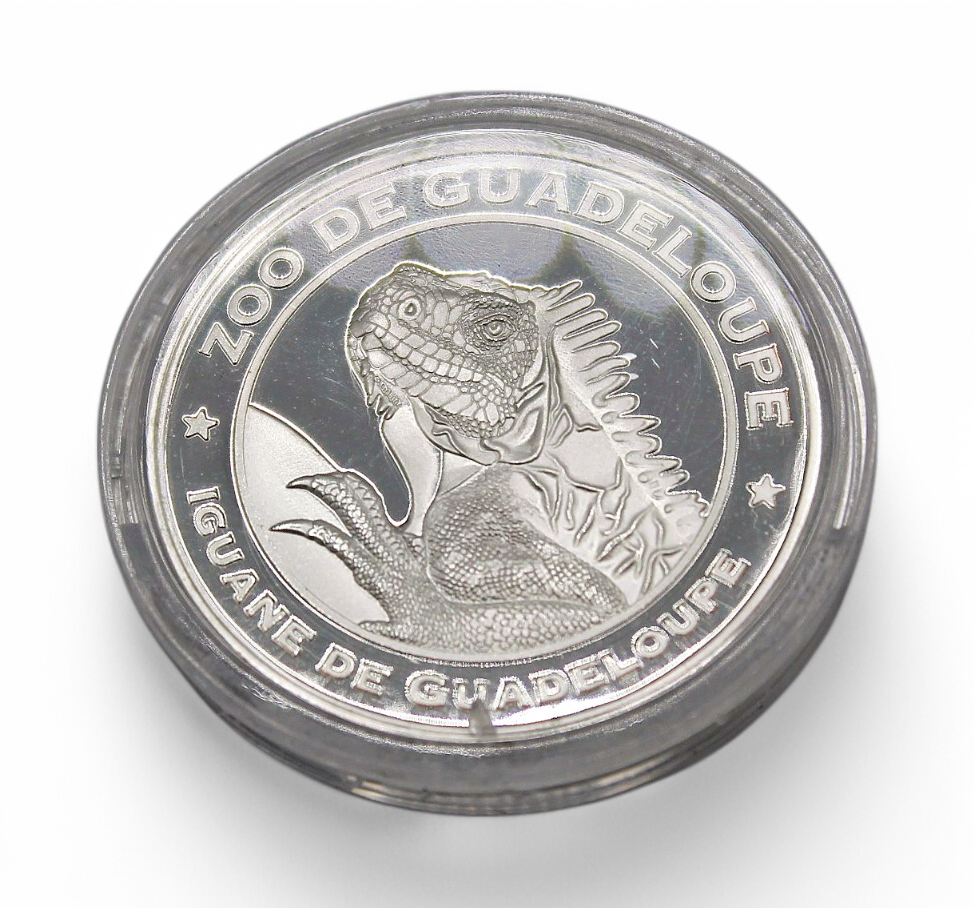 Médaille Iguane PDM GP