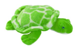 Tortue Verte Pm