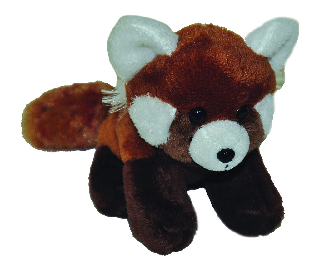 Ck Petit Red Panda