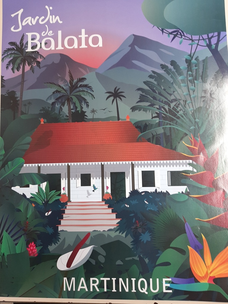 Affiche JDB 2 GM (60X80)