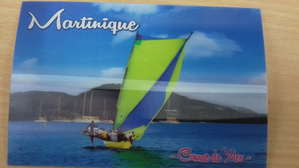 CP 10X15 MQ -  Yoles MQCP3D04