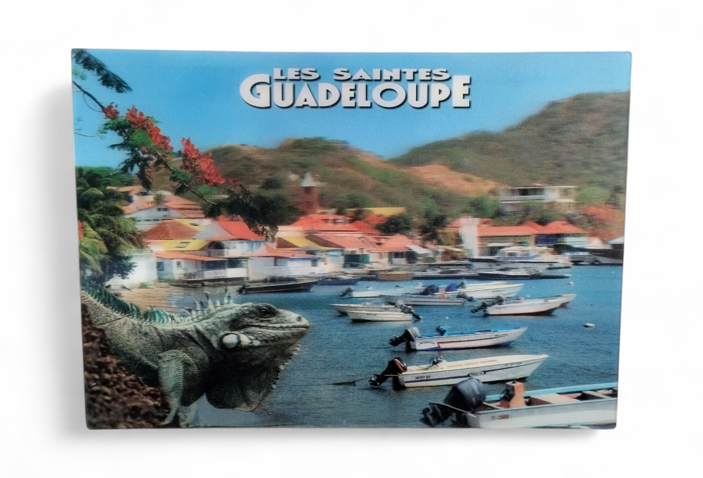 CP 12 X 17 GP 3D Les Saintes G3D09