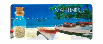 Magnet Epoxy Rectangle Avec Bouteille Yole MQ