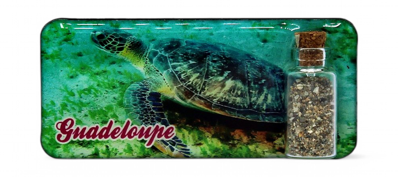 Magnet Epoxy Rectangle Avec Bouteille Tortue De Mer