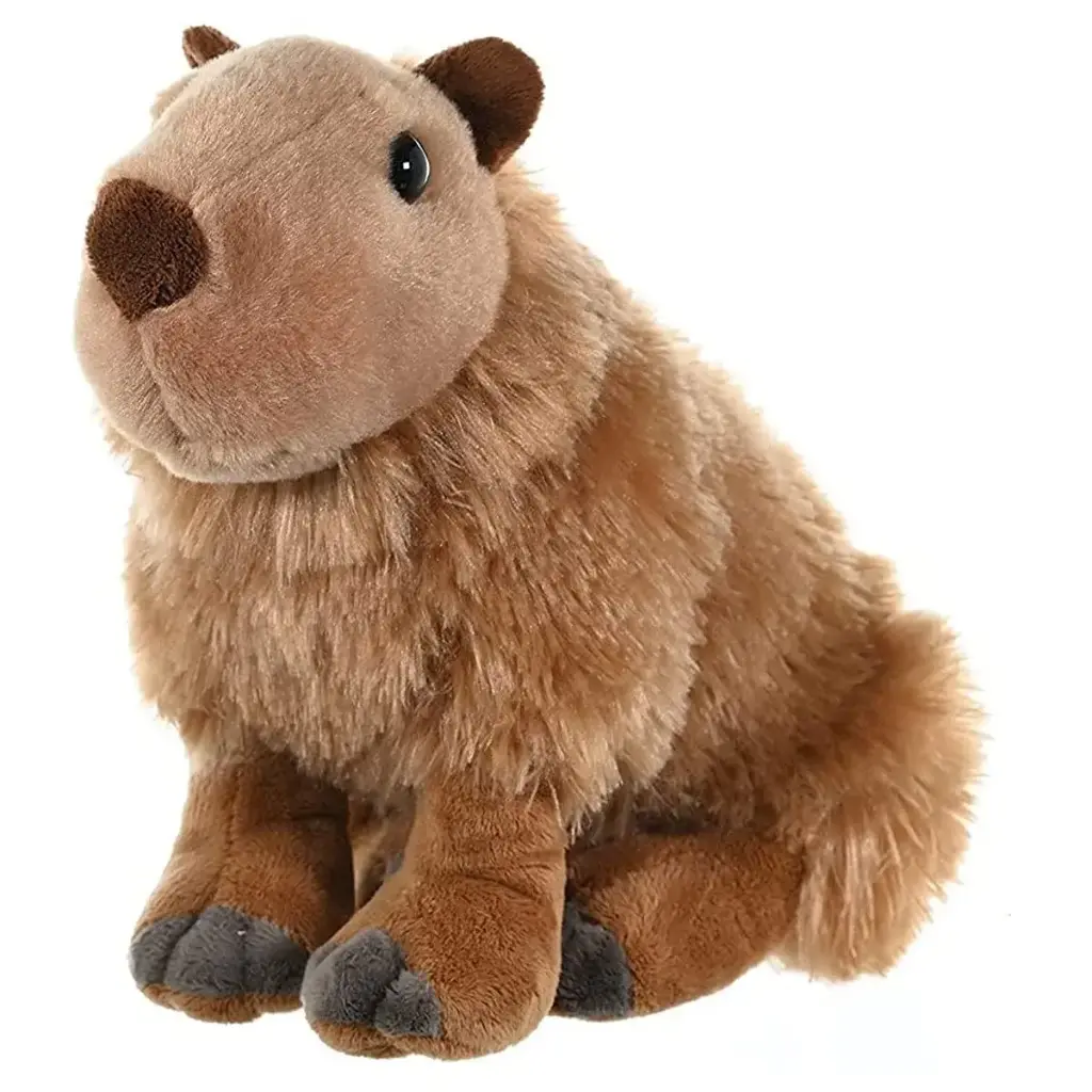 CK CAPYBARA