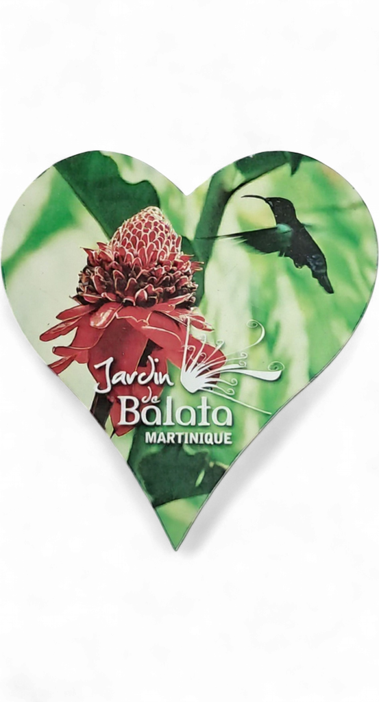 Magnet MDF Cœur -  Rose de Porcelaine et Colibri  JDB