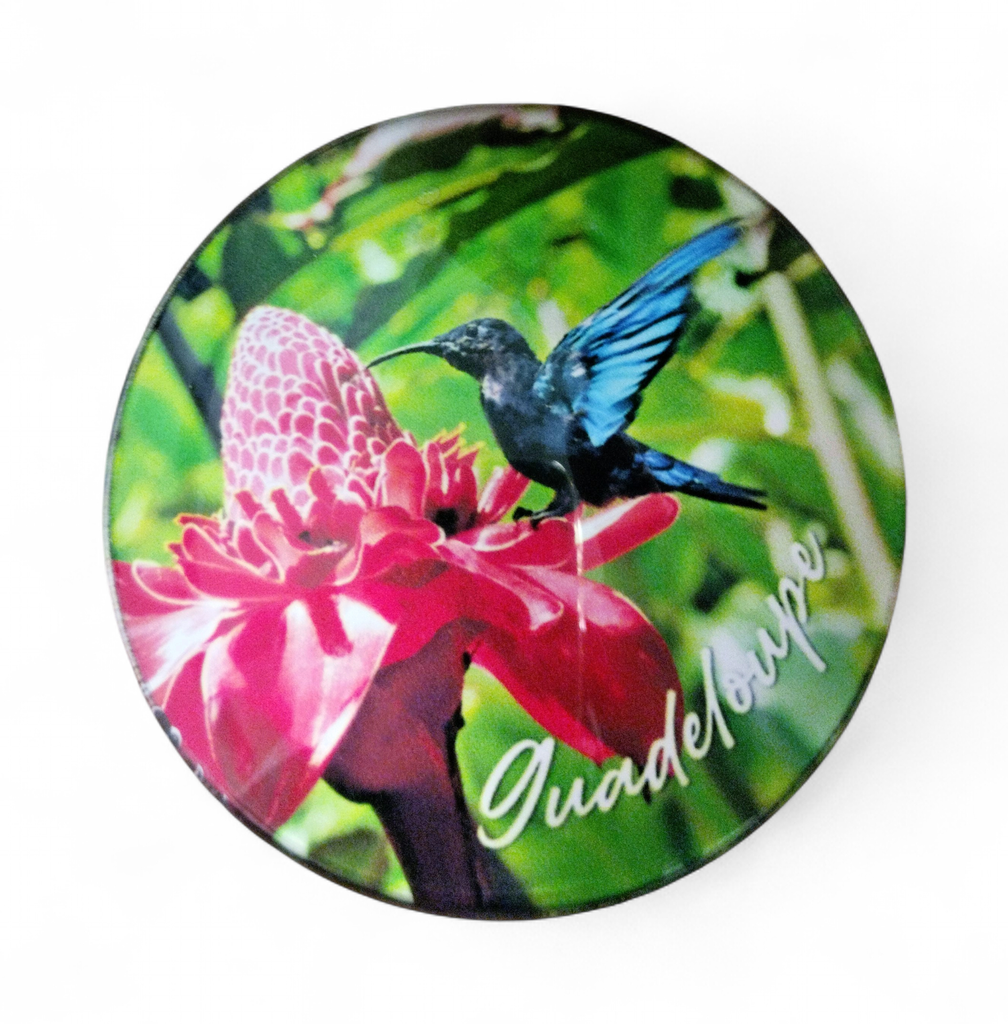 Magnet Verre - Colibri et Rose de porcelaine