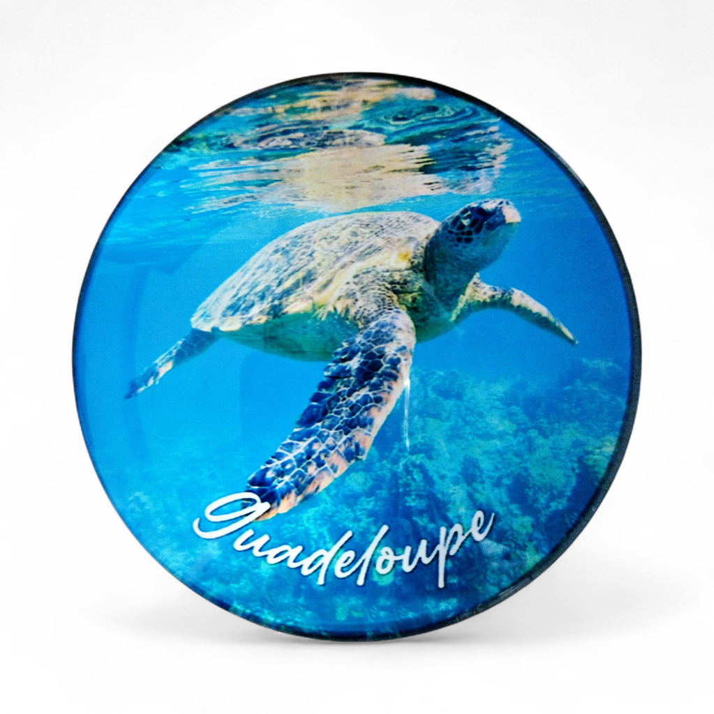 Magnet Verre - Tortue de mer