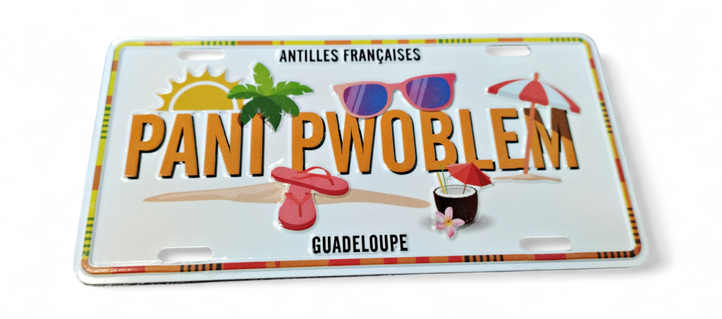 Magnet Plaque  - Pani Pwoblem