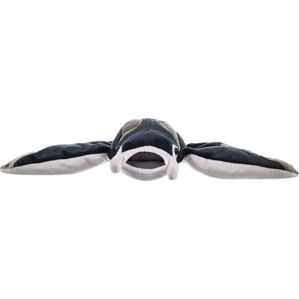 CK Manta Ray