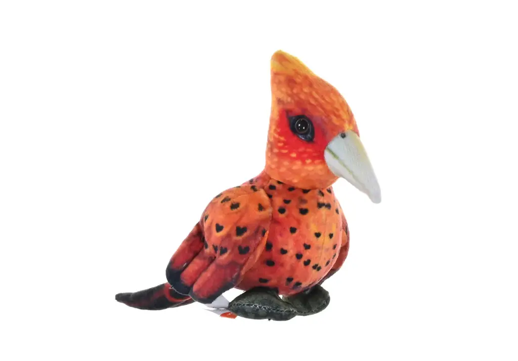 Rainforest chestnut wood pecker