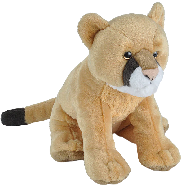 Ck Mountain Lion