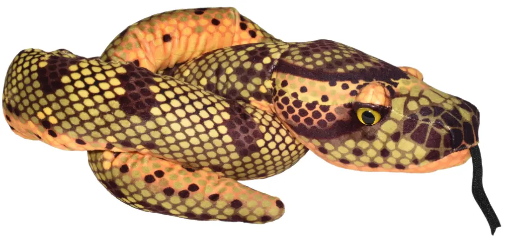 Snake Anaconda III