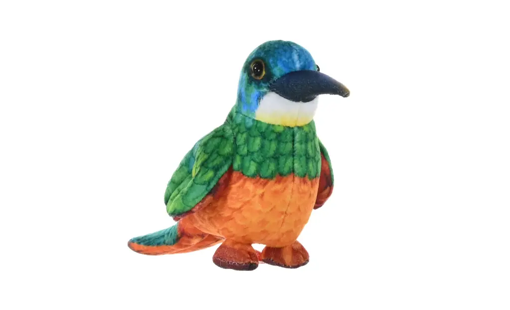 Rainforest Jacamar