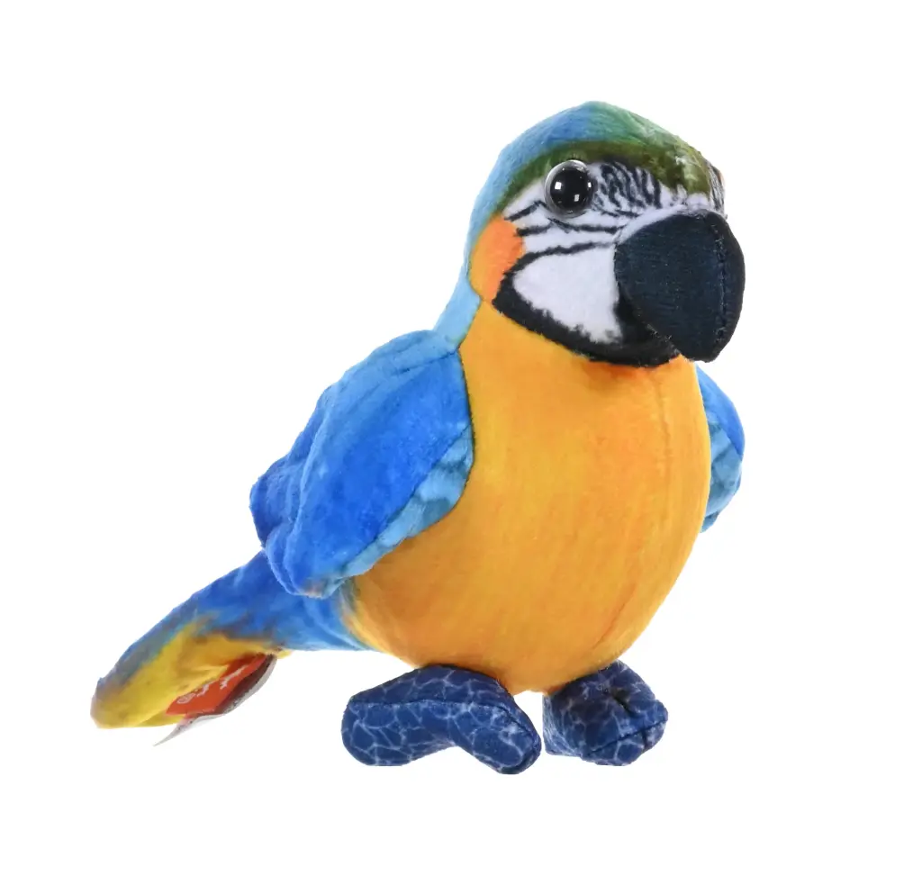 Rainforest blue and yellow Macaw
