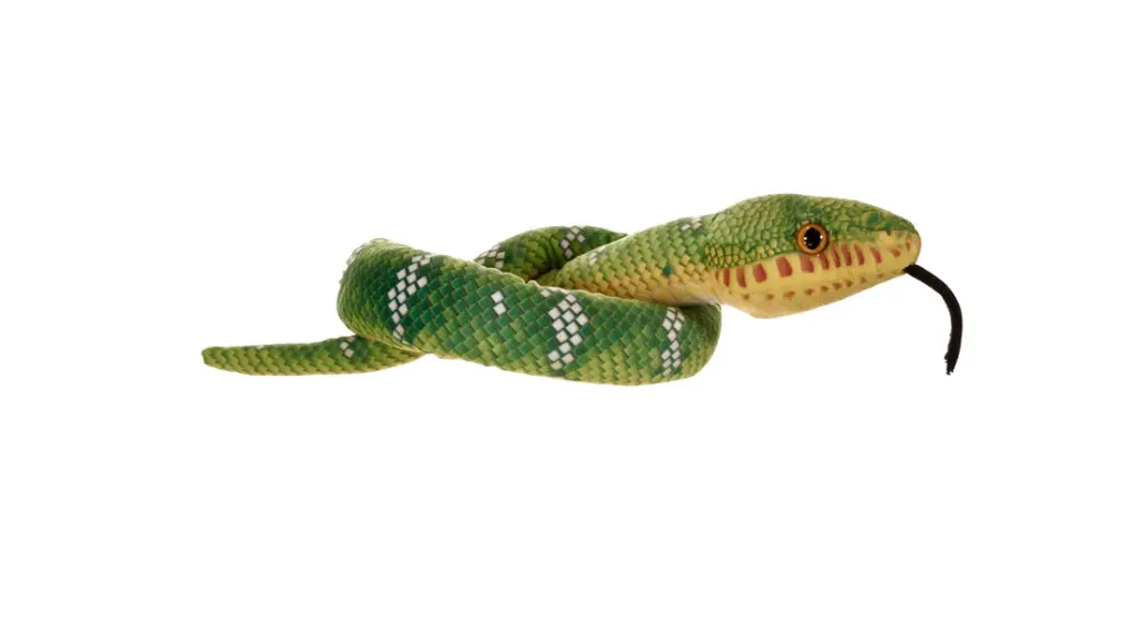Snake-Green Emerald tree