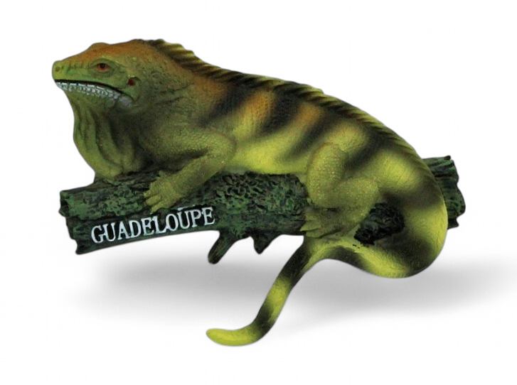 Magnet Resine Iguane