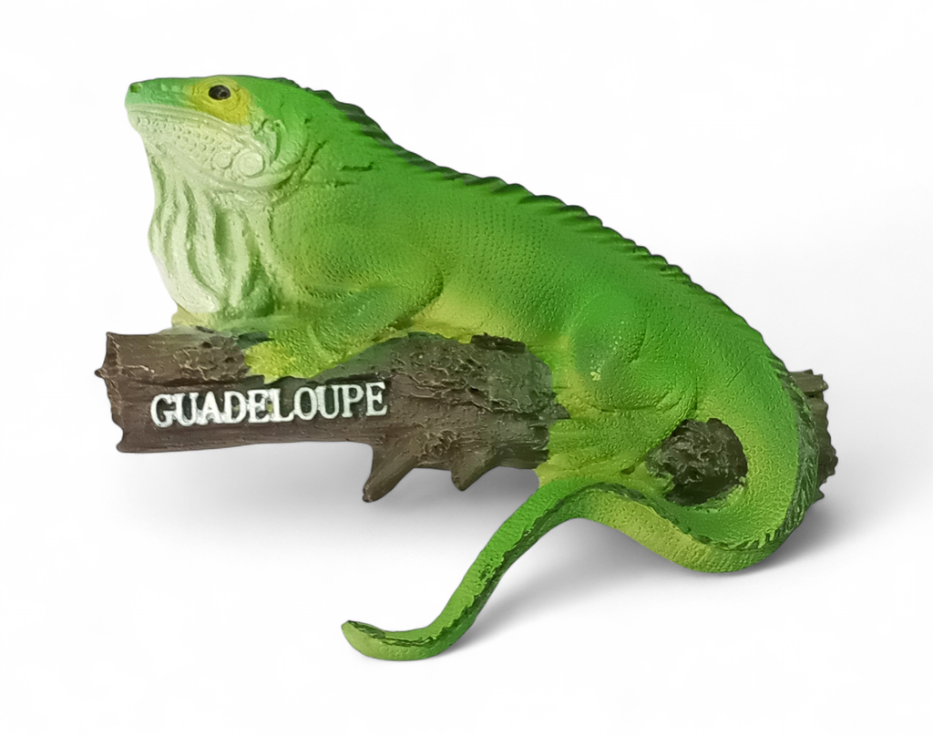 Magnet Resine Iguane