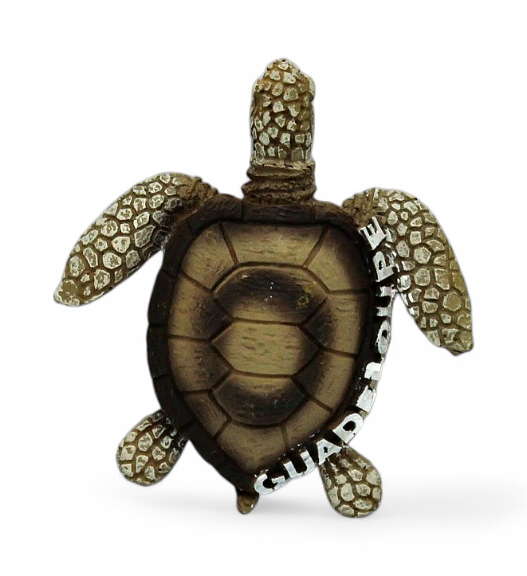 Magnet Tortue Resine L