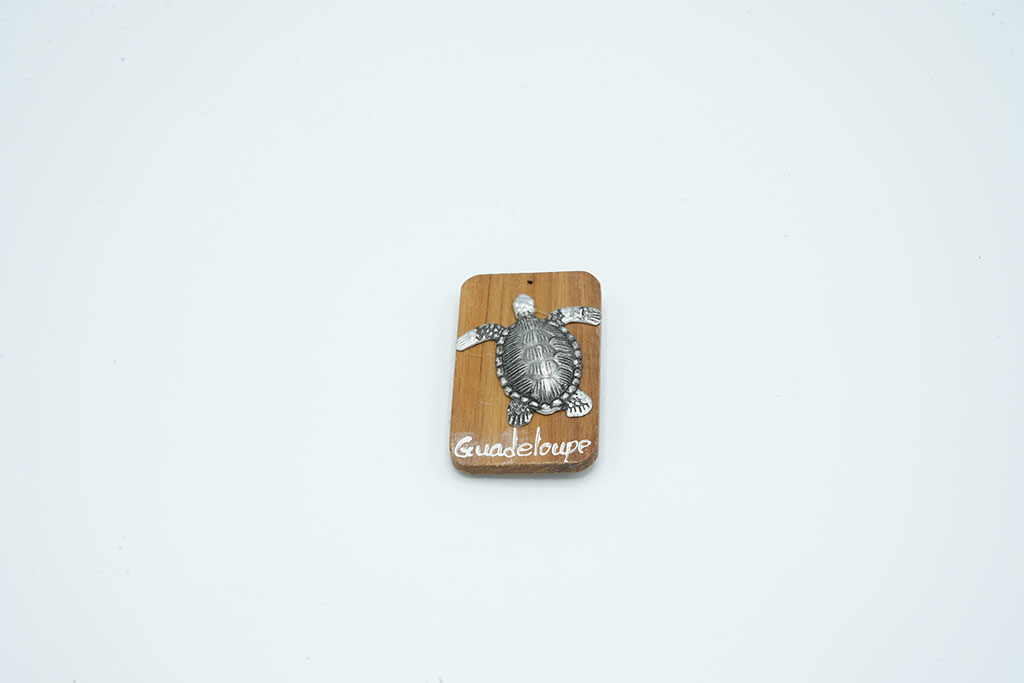 Magnet Bois Tortue Metal