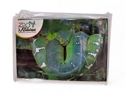 Magnet Image ZDM Boa