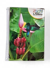 Magnet Image ZDM Colibri