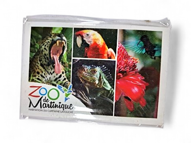 Magnet Image ZDM Multivues