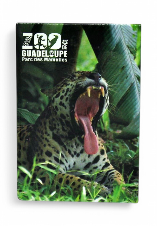 Magnet Image PDM Jaguar