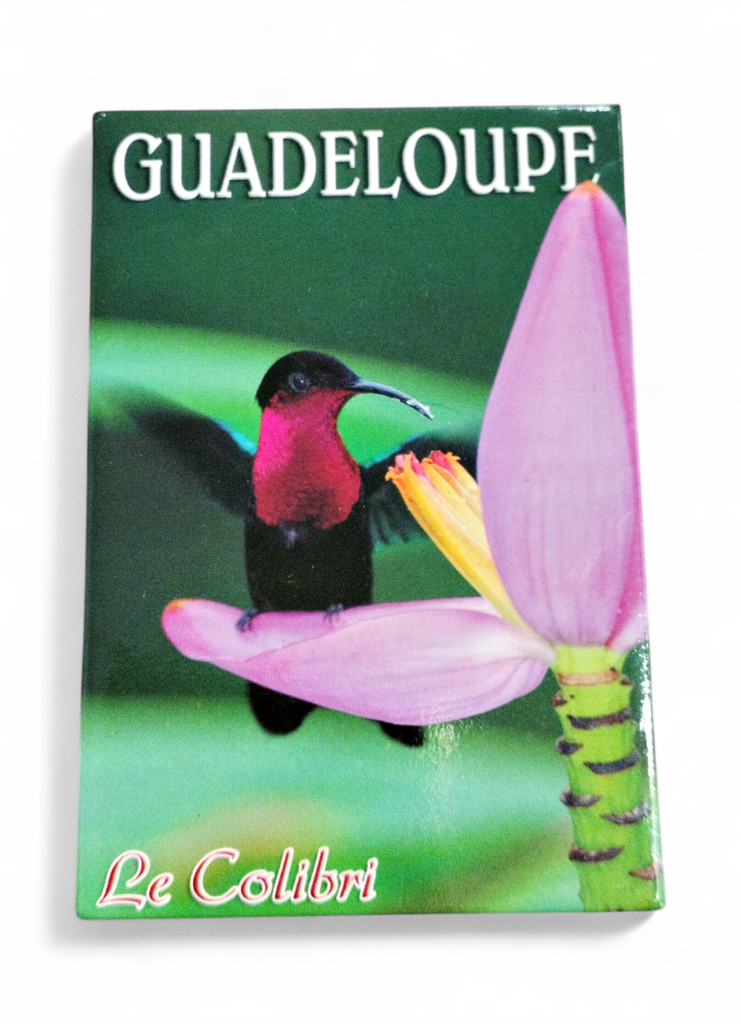 [15077] Magnet Image GP Colibri Casque