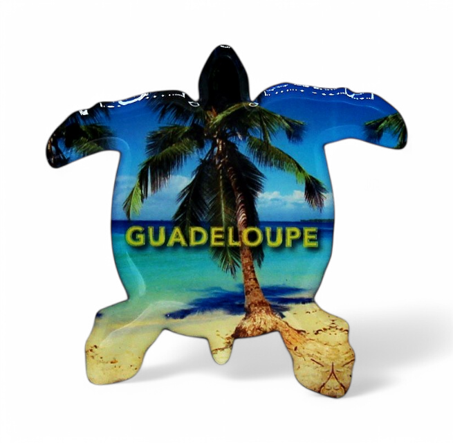Magnet Epoxy Tortue Et Cocotier