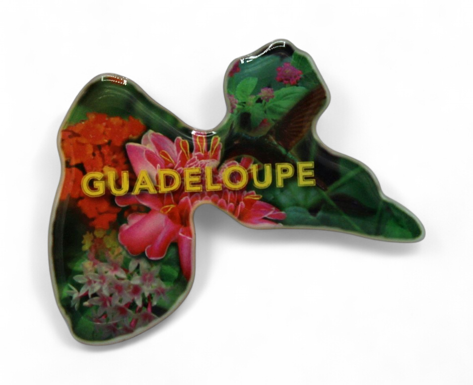Magnet Epoxy Carte Colibri+Fleur