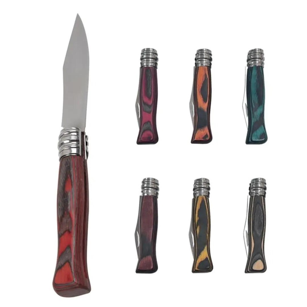 [31017] Couteau 19,5Cm Manche Couleur 