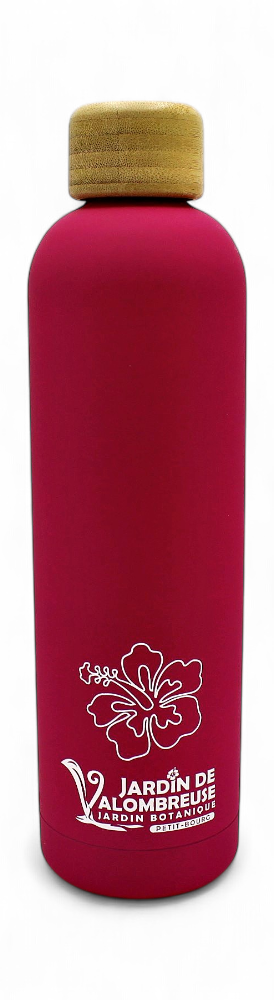 Gourde Rose Jdv 1L