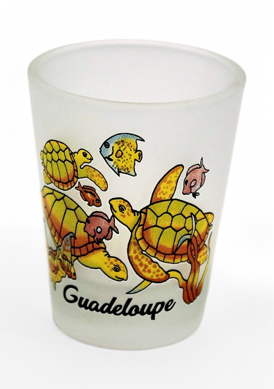 Verre Shot Givre Tortue Couleur