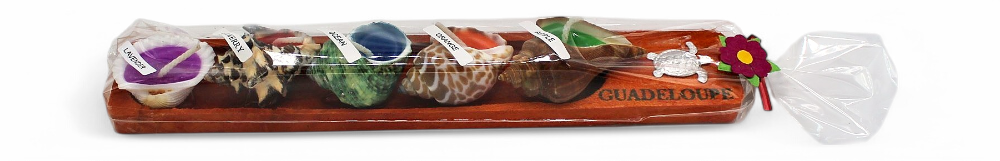 [41005] Bougies Coquillage Tortue Dans Barque