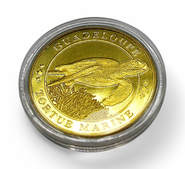 [44002] Médaille Tortue