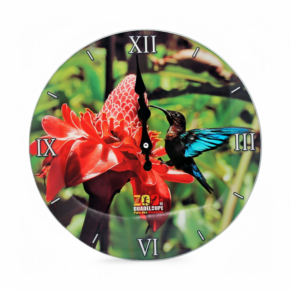 [45064] Horloge Murale Verre PDM