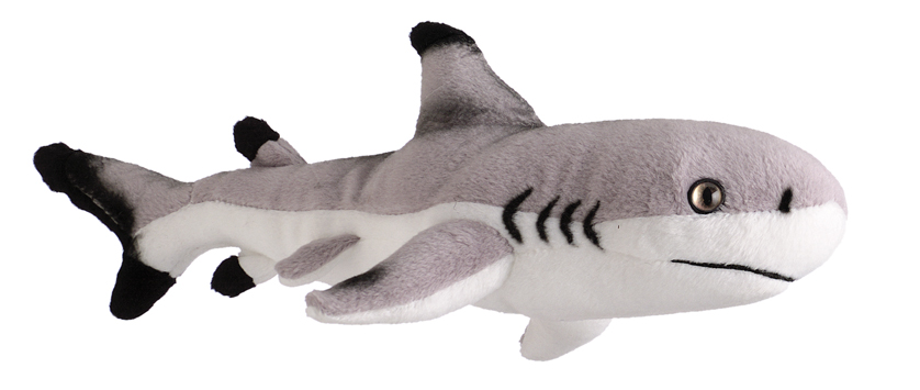 Requin Mm