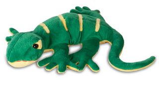 Lezard Gecko