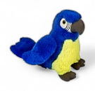 Blue And Gold Macaw 18Cm