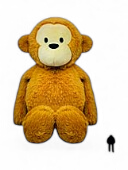 Singe
