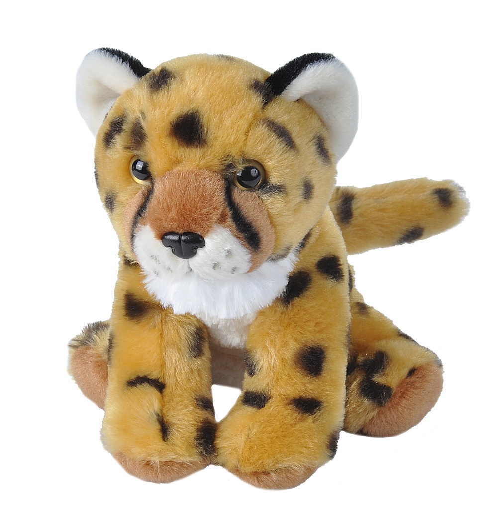 [53129] Ck Mini Cheetah Baby