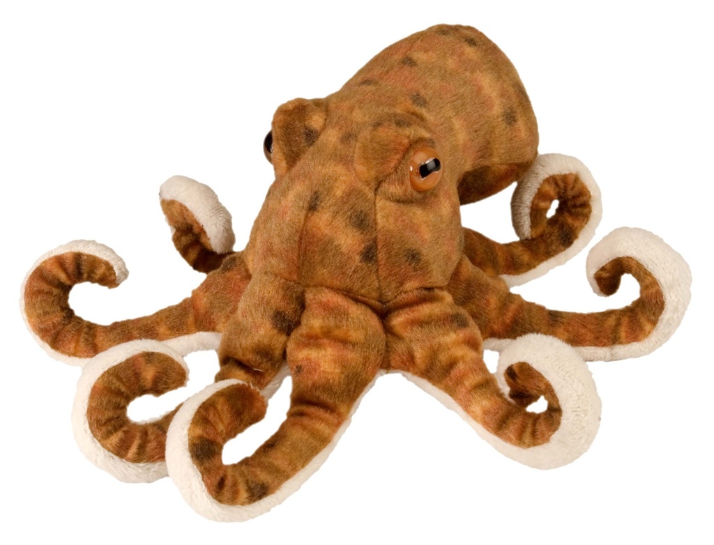 Ck Mini Octopus